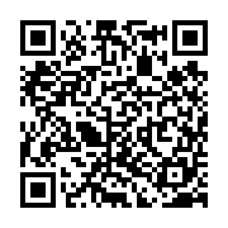 QR code for UDI655