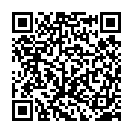 QR code for UDI673