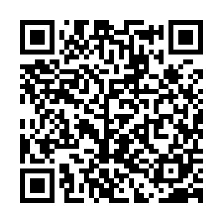 QR code for UDI905