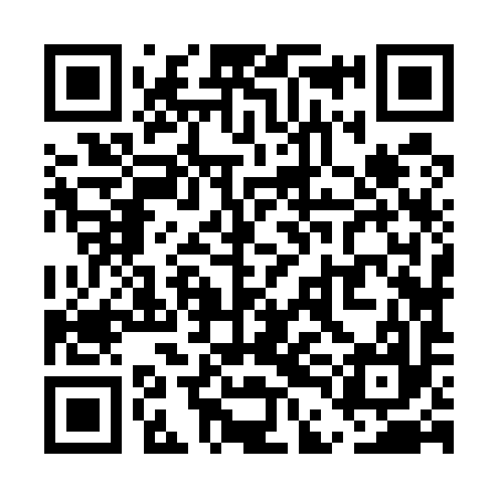 QR code for UDJ597