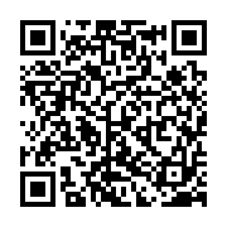 QR code for UDK313