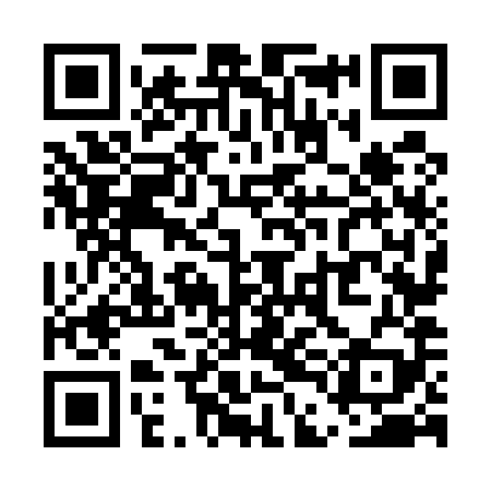 QR code for UDN589