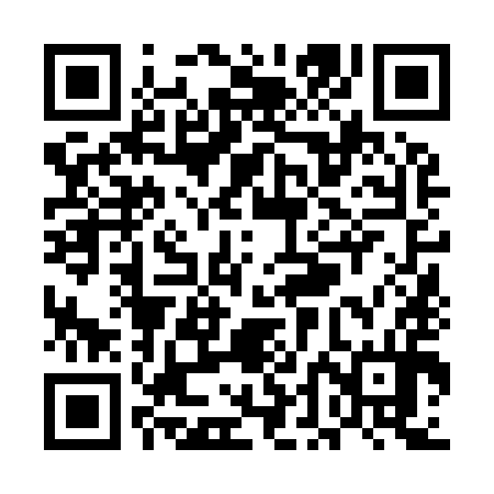 QR code for UDN994