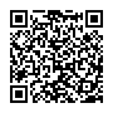 QR code for UDP019