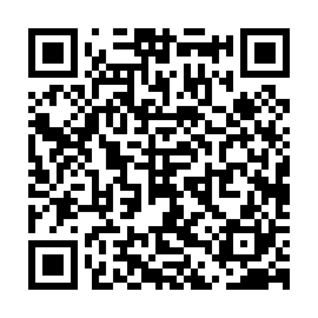 QR code for UDP020