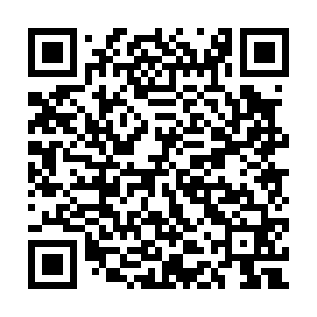 QR code for UDP060