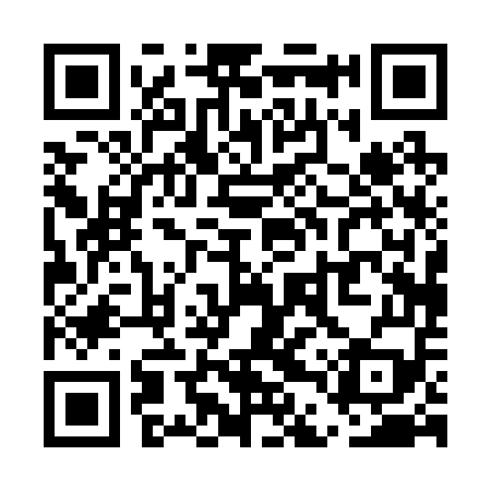 QR code for UDP259