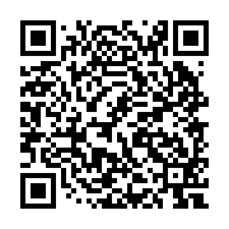 QR code for UDP293