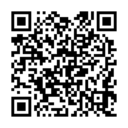 QR code for UDP353