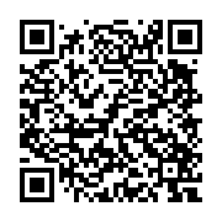 QR code for UDP447