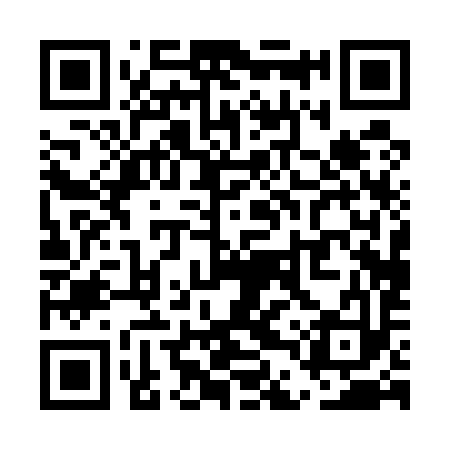 QR code for UDP593