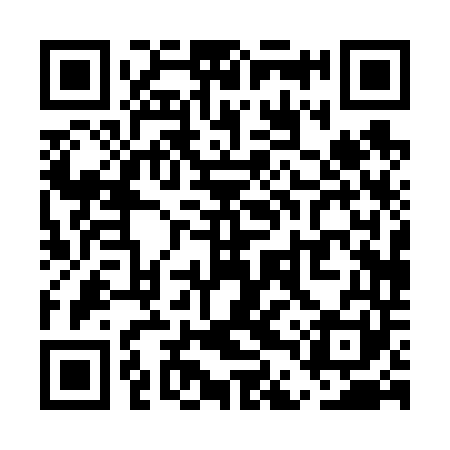 QR code for UDP641