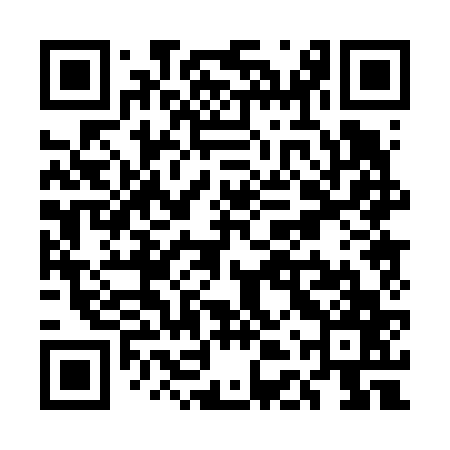 QR code for UDP667