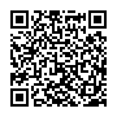 QR code for UDP733