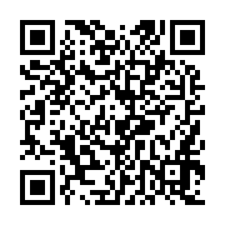 QR code for UDP956