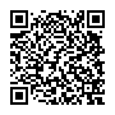 QR code for UDT419
