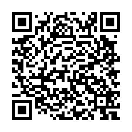 QR code for UDU029