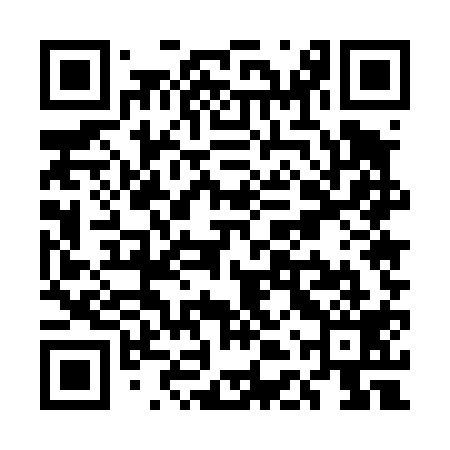 QR code for UDU419