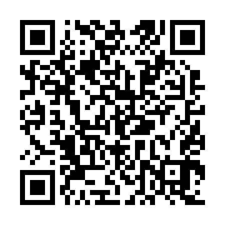 QR code for UDV243