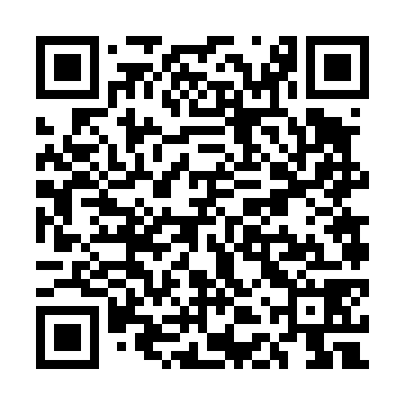 QR code for UDV478
