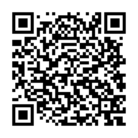 QR code for UDV533