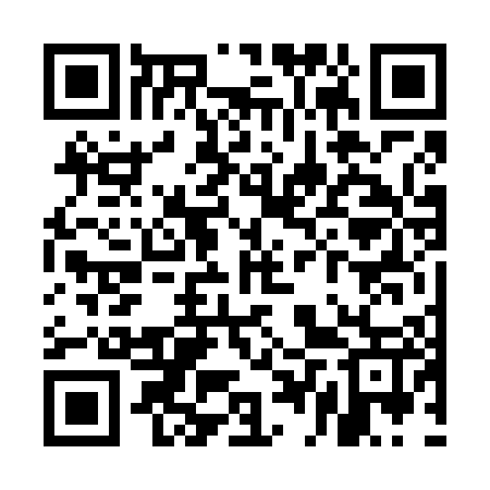 QR code for UDV607