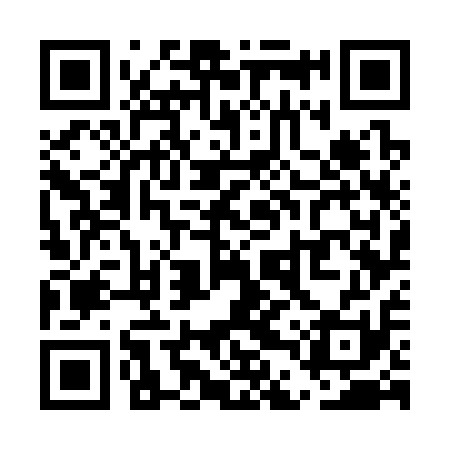 QR code for UDW311