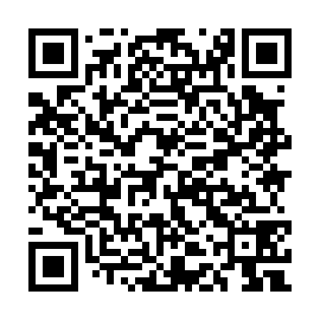QR code for UDY078