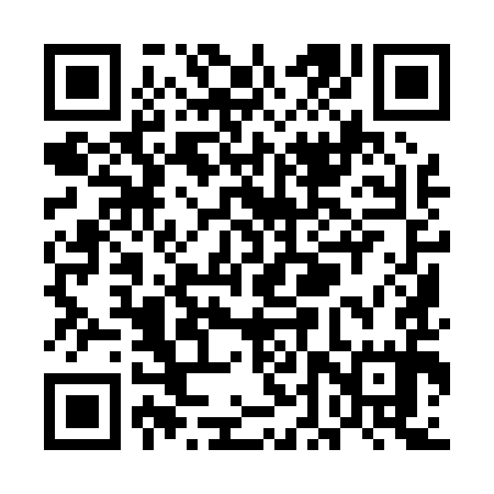 QR code for UDY095