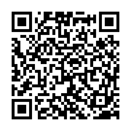 QR code for UDZ273