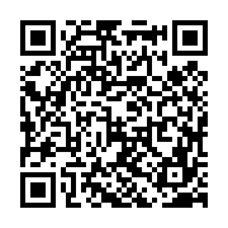 QR code for UDZ476