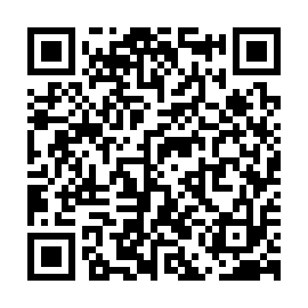 QR code for UEG313