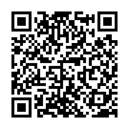 QR code for UEG729