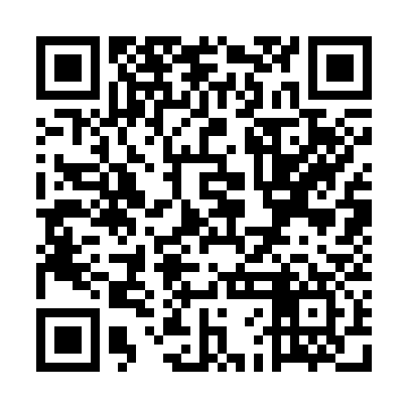 QR code for UFC337