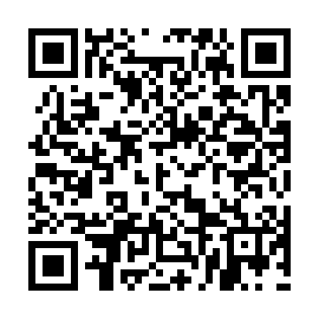 QR code for UFI306