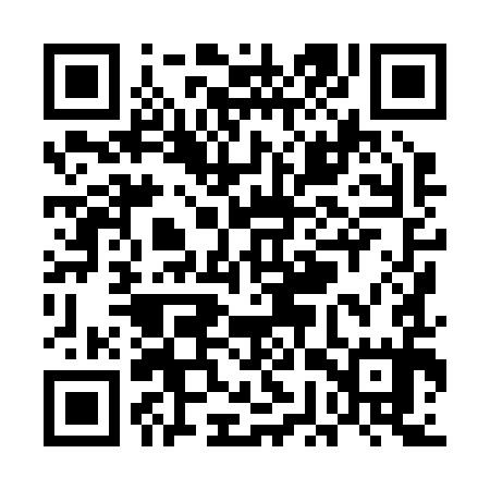 QR code for UGX295