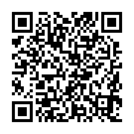 QR code for UIQ291