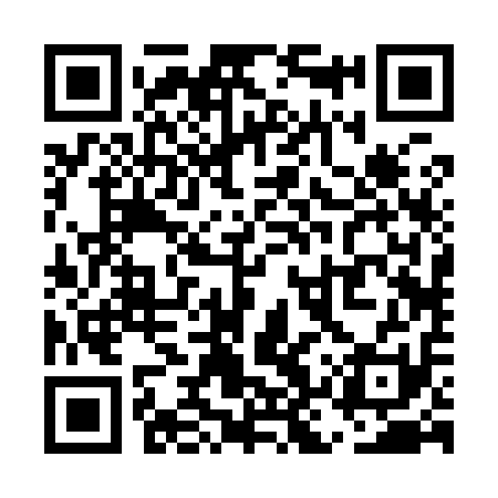 QR code for UKR911