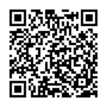 QR code for ULI197