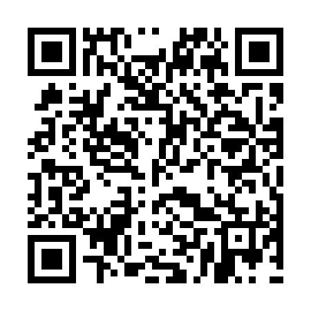 QR code for ULU595