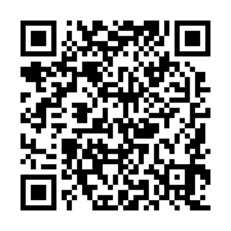 QR code for UMI291