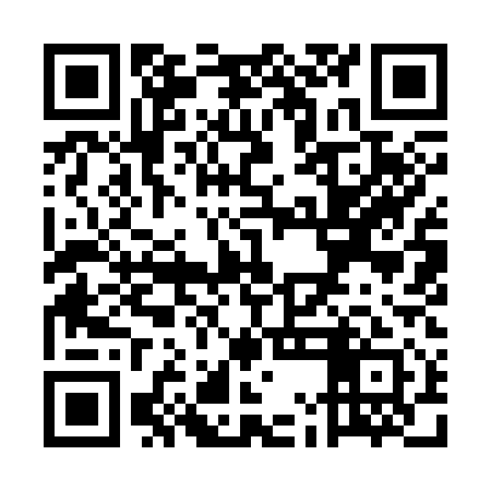QR code for UMI311