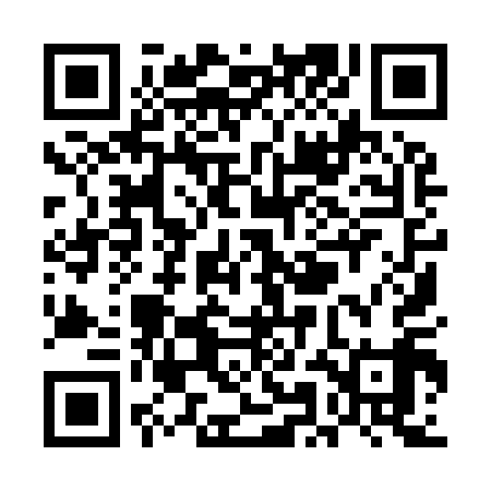 QR code for UMI919