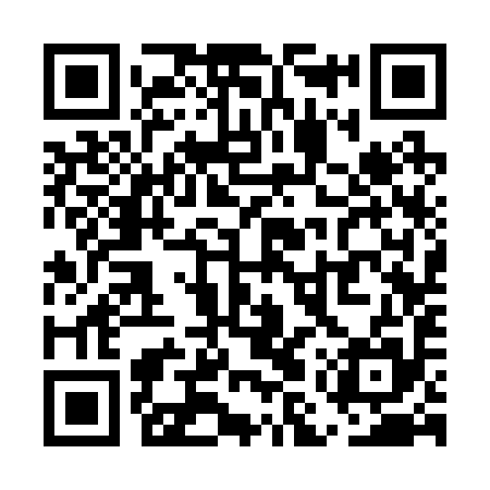 QR code for UMS295