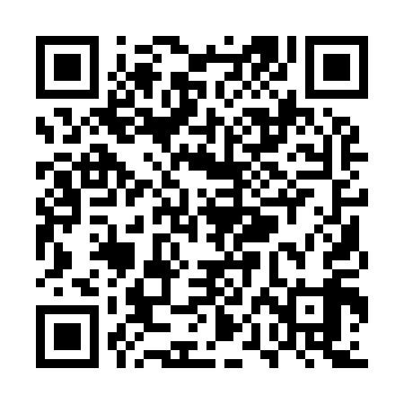 QR code for UPA919