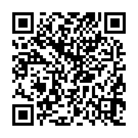 QR code for UPC950