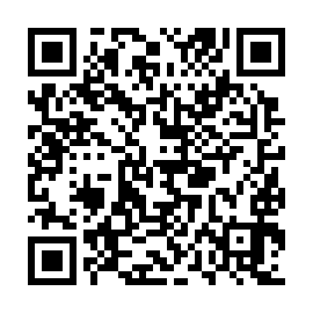 QR code for UPF393