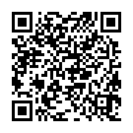QR code for UPG382