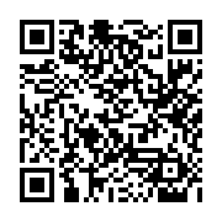 QR code for UPI691