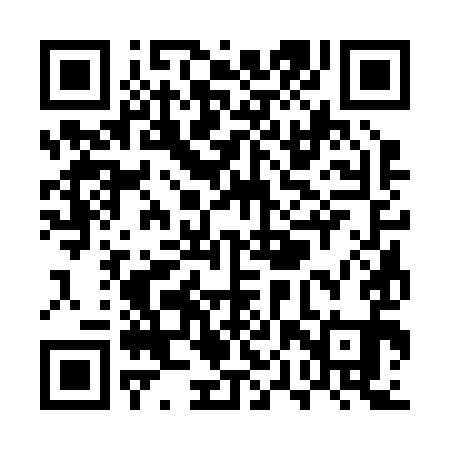 QR code for UPS291